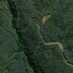 Satellite imagery of Alto Pichún, CL