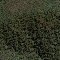 Satellite imagery of Mount Thomson, AU