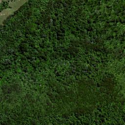 Satellite imagery of Puketutu Pa, NZ