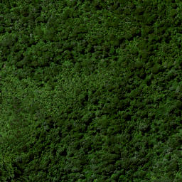 Satellite imagery of Puketutu Pa, NZ