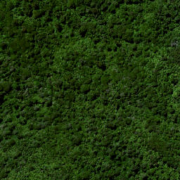 Satellite imagery of Ruakiwi Pa, NZ