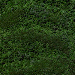 Satellite imagery of Ruakiwi Pa, NZ