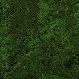 Satellite imagery of Ruakiwi Pa, NZ