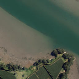Satellite imagery of Ongare Point, NZ