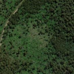 Satellite imagery of Mount Murrindindi, AU