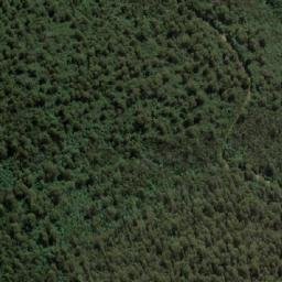Satellite imagery of Mount Murrindindi, AU