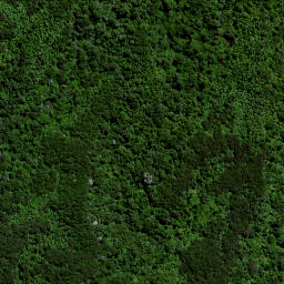 Satellite imagery of Puketutu Pa, NZ
