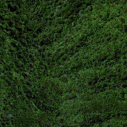Satellite imagery of Puketutu Pa, NZ