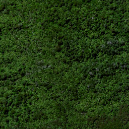 Satellite imagery of Ruakiwi Pa, NZ