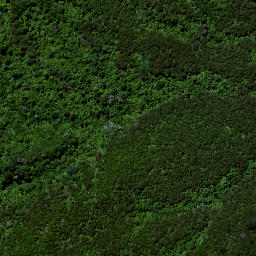 Satellite imagery of Ruakiwi Pa, NZ