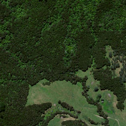 Satellite imagery of Ruakiwi Pa, NZ