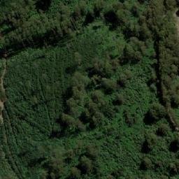 Satellite imagery of Mount Murrindindi, AU