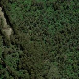 Satellite imagery of Mount Murrindindi, AU