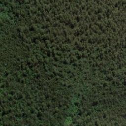 Satellite imagery of Mount Murrindindi, AU