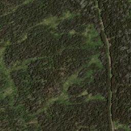 Satellite imagery of Marysville Lookout, AU