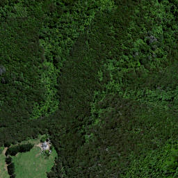 Satellite imagery of Puketutu Pa, NZ