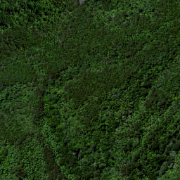 Satellite imagery of Puketutu Pa, NZ