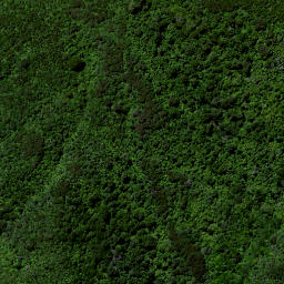 Satellite imagery of Ruakiwi Pa, NZ
