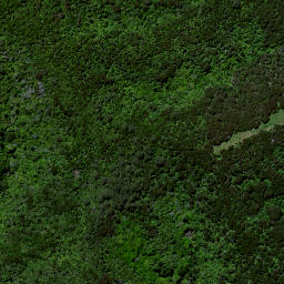 Satellite imagery of Ruakiwi Pa, NZ