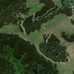 Satellite imagery of Ruakiwi Pa, NZ