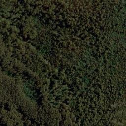 Satellite imagery of Castle Hill, AU