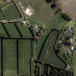 Satellite imagery of Kauri Point, NZ