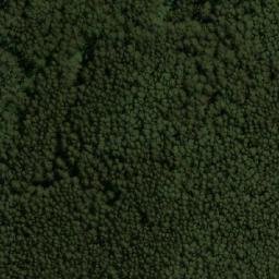 Satellite imagery of Mount Tanglefoot, AU
