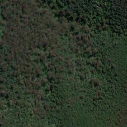 Satellite imagery of Dingo Hill, AU