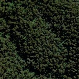Satellite imagery of Morris Peak, AU