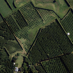 Satellite imagery of Kauri Point, NZ