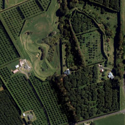 Satellite imagery of Kauri Point, NZ