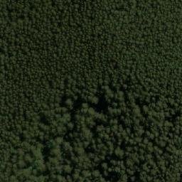 Satellite imagery of Mount Tanglefoot, AU