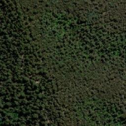 Satellite imagery of Woods Lookout, AU