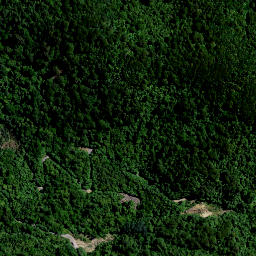 Satellite imagery of Tui Mine, NZ
