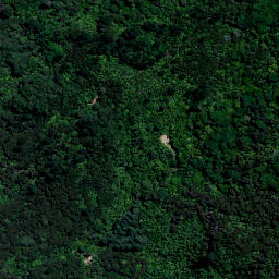 Satellite imagery of Bald Spur, NZ