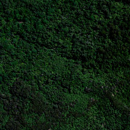 Satellite imagery of Bald Spur, NZ