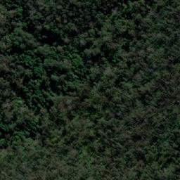 Satellite imagery of Mount Cavell, AU