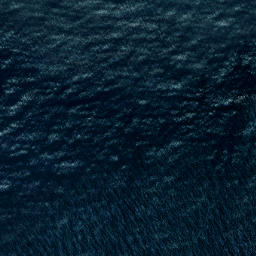 Satellite imagery of Waitapu Point, NZ