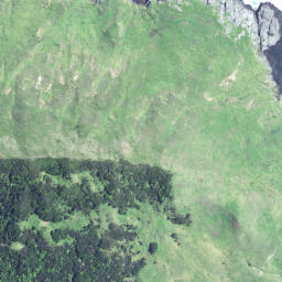 Satellite imagery of Lottin Point, NZ