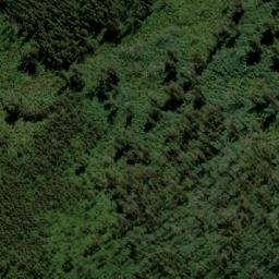 Satellite imagery of Mount Tanglefoot, AU