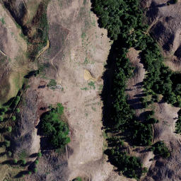 Satellite imagery of 1910 TIKITIKI, NZ