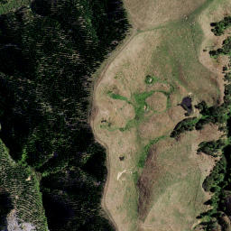 Satellite imagery of 1910 TIKITIKI, NZ