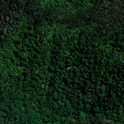 Satellite imagery of Bald Spur, NZ