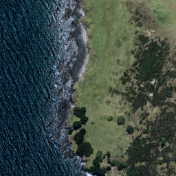 Satellite imagery of Waitapu Point, NZ