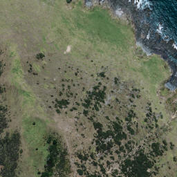 Satellite imagery of Waitapu Point, NZ
