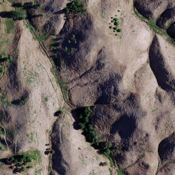 Satellite imagery of 1910 TIKITIKI, NZ