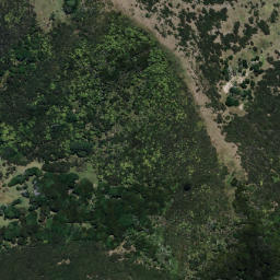 Satellite imagery of TIKIRAU, NZ