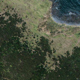 Satellite imagery of TIKIRAU, NZ
