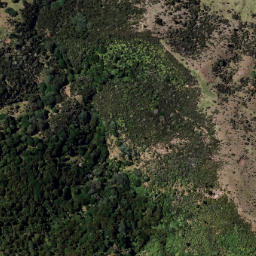 Satellite imagery of 1331 RUAHAKOAKOA, NZ