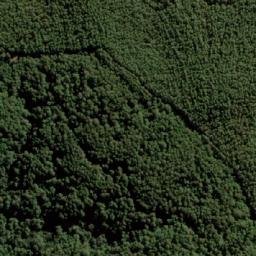 Satellite imagery of Cerro El Jote Primero, CL